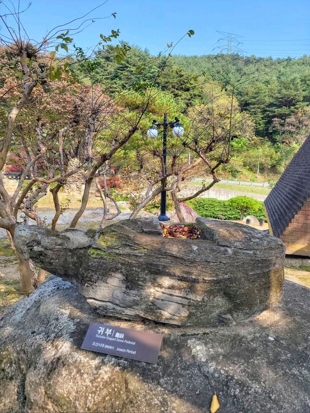 단풍구경도 하고 역사관람도 하는 강릉관광코스🍂