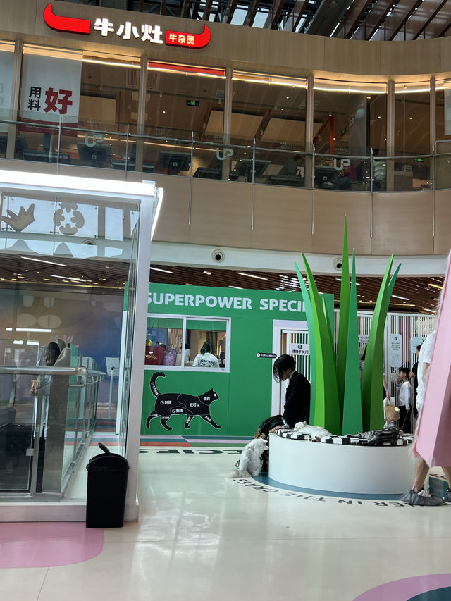 北上玩樂