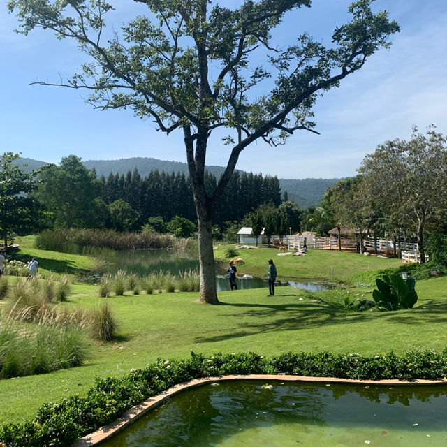 🌳 Bucolic Khaoyai 🌳