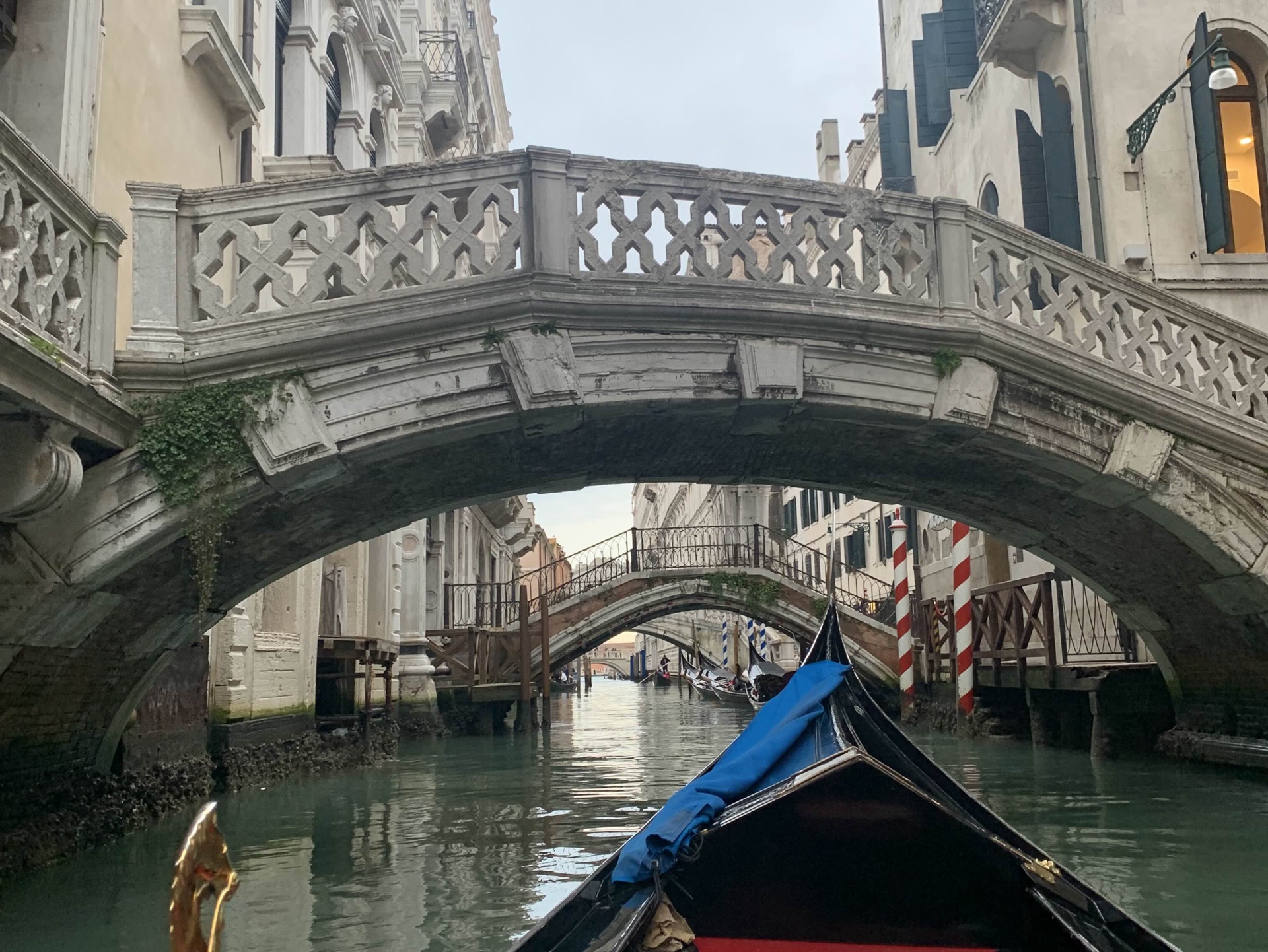 ベネチア大好き ヴェネツィア】一生に一度は行ってみたい憧れのベネチア！攻略法を