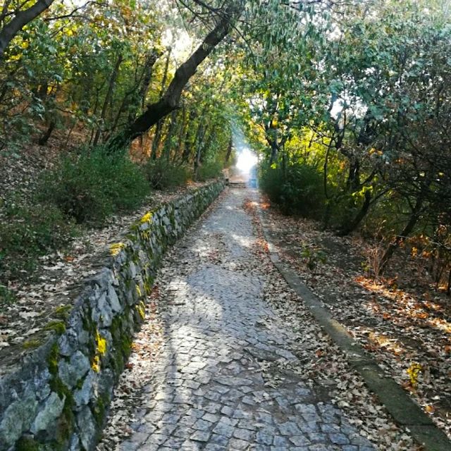 BEAUTIFUL PLOVDIV, BULGARIA!