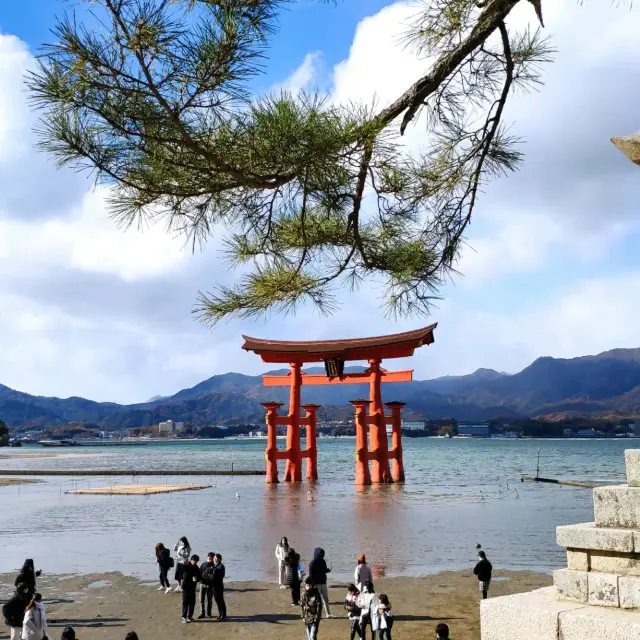 日本三大景宮島