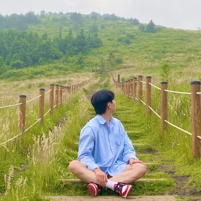 웨딩 촬영 장소로 아주 인기 터지는 백약이오름 💙