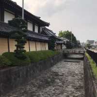 京都東本願寺‼️ 賞楓葉🍁之處