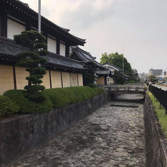 京都東本願寺‼️ 賞楓葉🍁之處