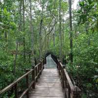 Venture into the Heart of Tanjung Piai