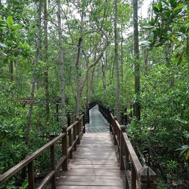 Venture into the Heart of Tanjung Piai