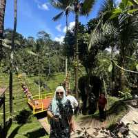 Green at the Rice Terrace