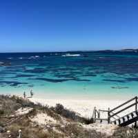 羅特尼斯島Rottnest Island｜伯斯推薦必玩景點！