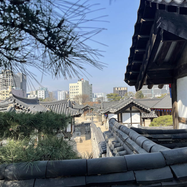 도심에서 만나는 한옥과 어우러진 봄꽃과의 만남 “남산골 한옥마을”