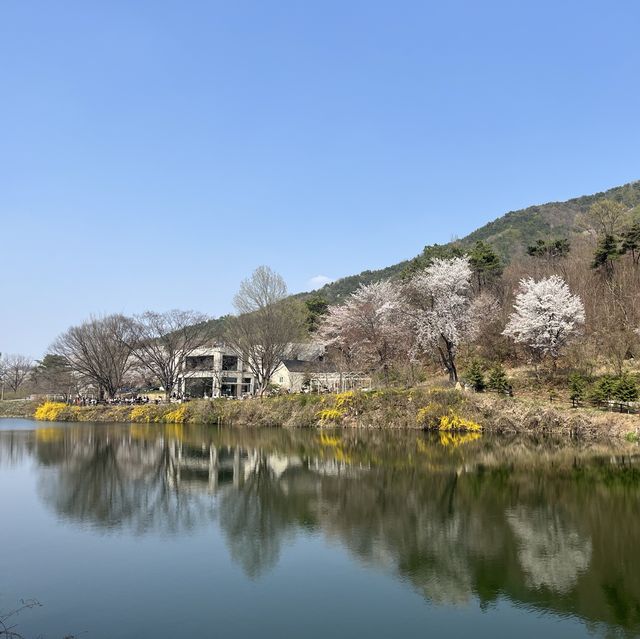 역대급 감성카페, 저수지 뷰 공주 ”엔학고레“ 100번 추천