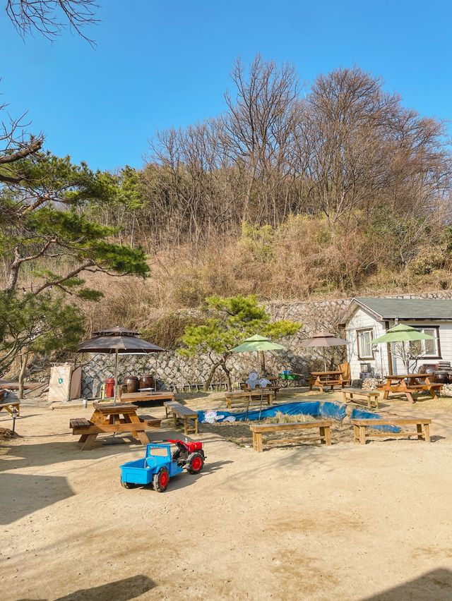 이천에 있는 농촌컨셉의 카페 쌀 크림빵이 맛있는 쌀 베이커리카페 흥만소