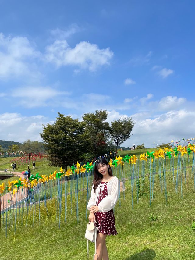 바람개비 투성인 임진각 평화누리💚
