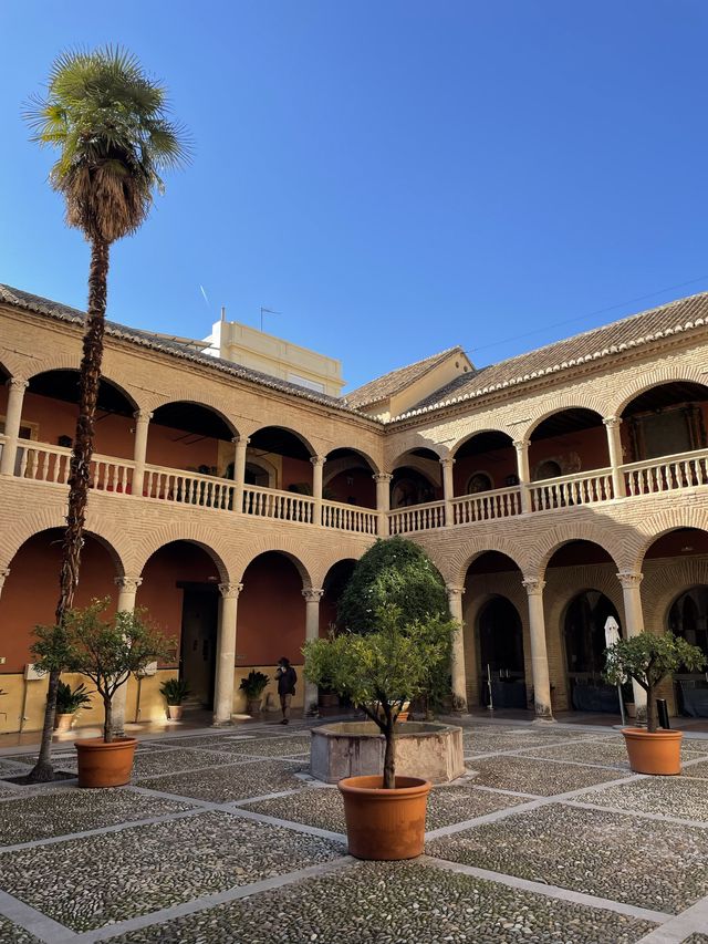 Hotel Palacio de Santa Paula