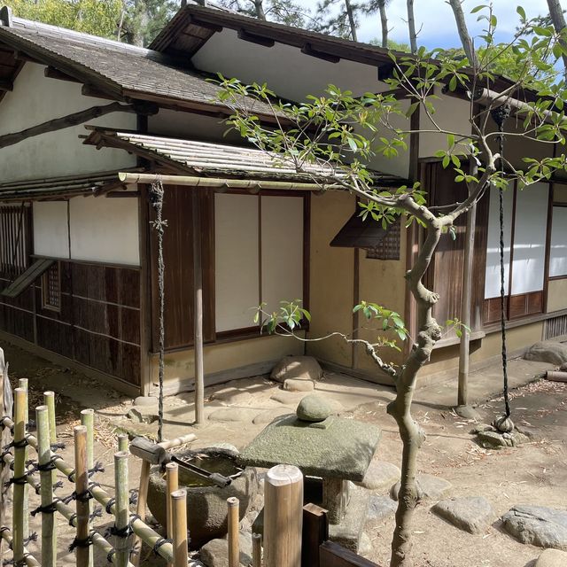 【神奈川県】横浜市　三溪園