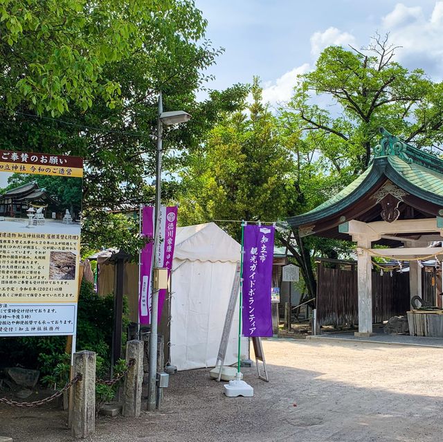 เทศกาลดอกไอริส 花じょうぶ祭