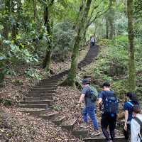 🌟桃園復興| 東眼山國家森林遊樂區 吸收芬多精 登山步道 須購票