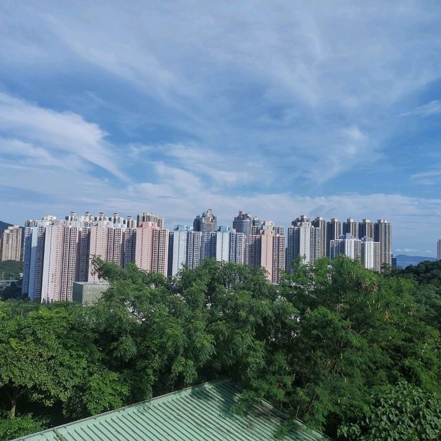 帶戶外泳池的高性價比營地燒烤 