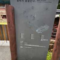 신록에계절 계룡산 동학사에 포행이다.