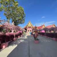 วัดยางใหญ่ ตาพรานบุญ จ.นครศรีธรรมราช