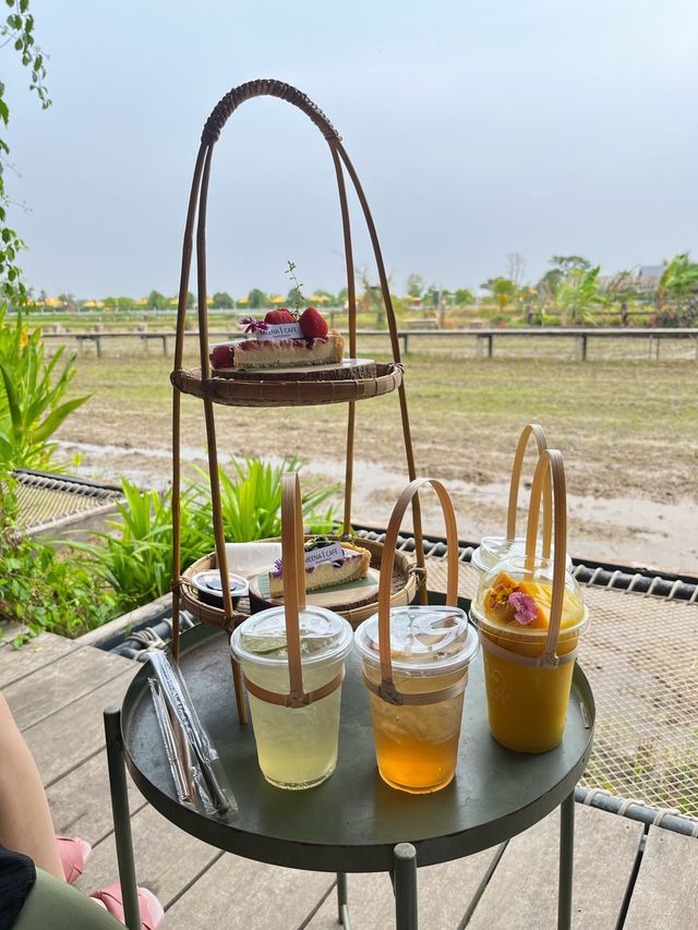 曼谷車程三小時🇹🇭｜近距離接近猛獸 Safari Park🦒