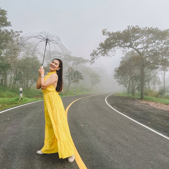 ไปดูดอกกระเจียว เที่ยวหน้าฝนกัน 🌷
