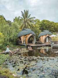 คาเฟ่ดีไซน์น้องเต่าที่หัวหิน 🐢 Turtle Bay Hua Hin