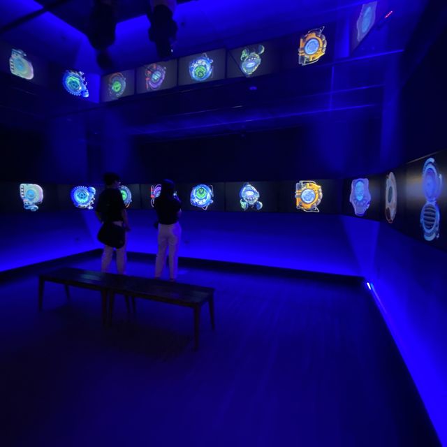 Amazing installation in Korea
