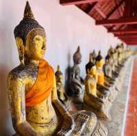 ไหว้พระธาตุไชยา