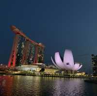 Best view of NDP Firework 🎇 