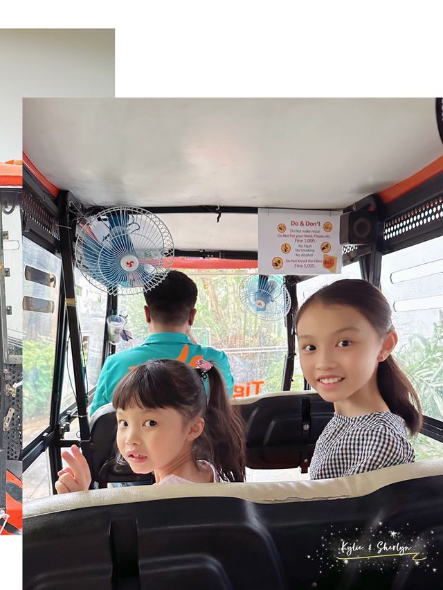 🇹🇭芭提雅老虎園 - 近距離同老虎bb接觸🐅