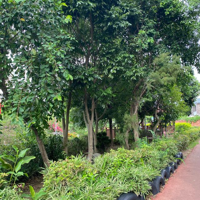 永寧水圳公園🍃