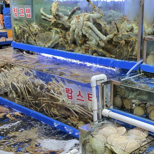 海鮮狂歡！在首爾的鷺梁津水産市場品嚐美味海鮮大餐！🦞🐟🍽️