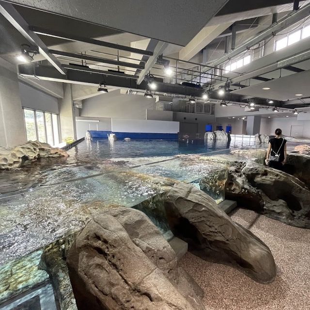 深入海洋奇境！足摺海洋館的神秘海底世界！🌊🐠