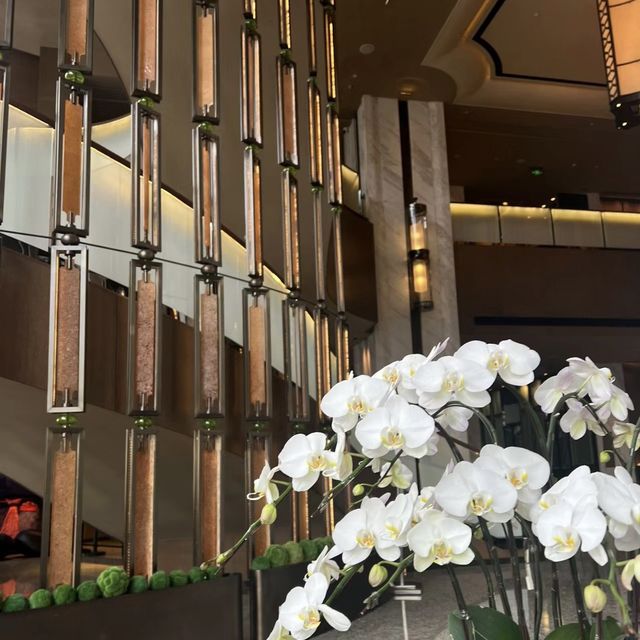 🍺🥃廣州康萊德酒店🦜極致享受的奢華🏨🌇🍽️