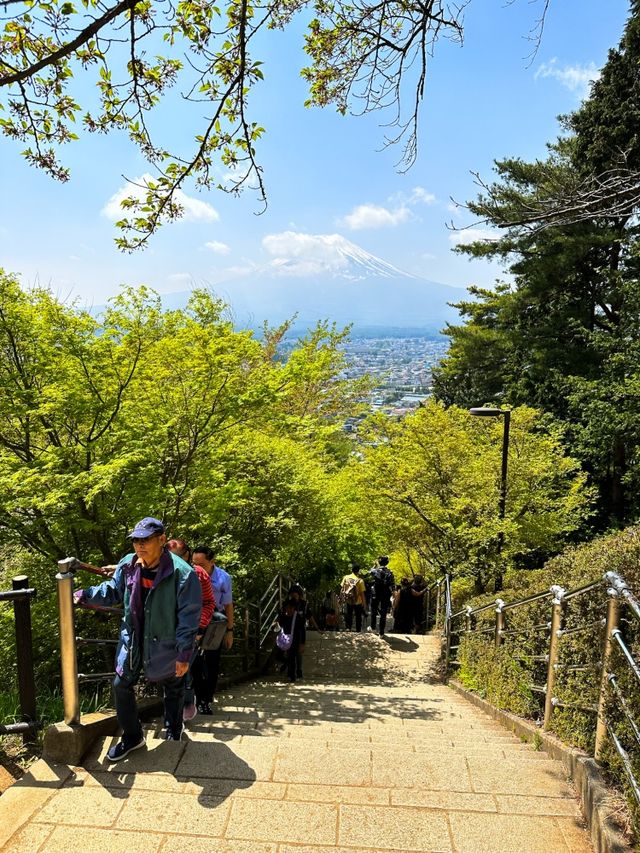 新倉山淺間神社 超美富士山景色 就是明信片