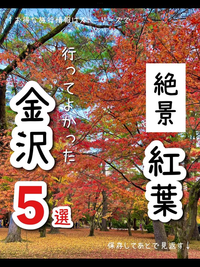 【石川】行ってよかった！金沢の紅葉スポット5選🍁