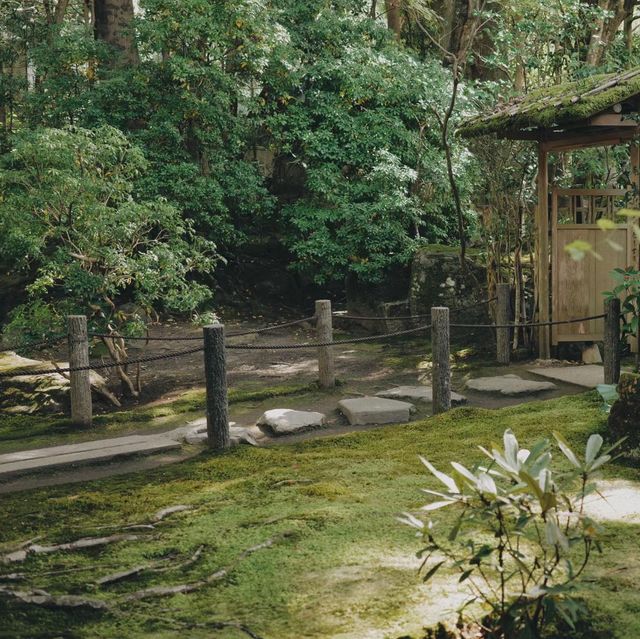 天授庵庭園～靜謐與自然🍵🌸🏯