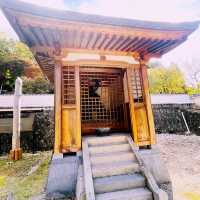 【長野県/美しい紅葉🍁と庭園を縁側から眺められるお寺】