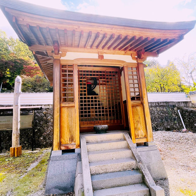 【長野県/美しい紅葉🍁と庭園を縁側から眺められるお寺】