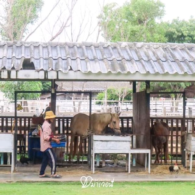 คาเฟ่เดียวมีครบ! ทั้ง Mini Zoo ไปถึงมุมสายมูก็มี