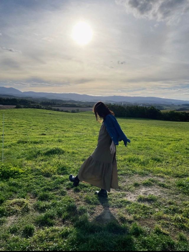 美瑛で行きたい🤍絵本に出てきそうな美しい牧場🐄‪🌱‬🥺【北海道】