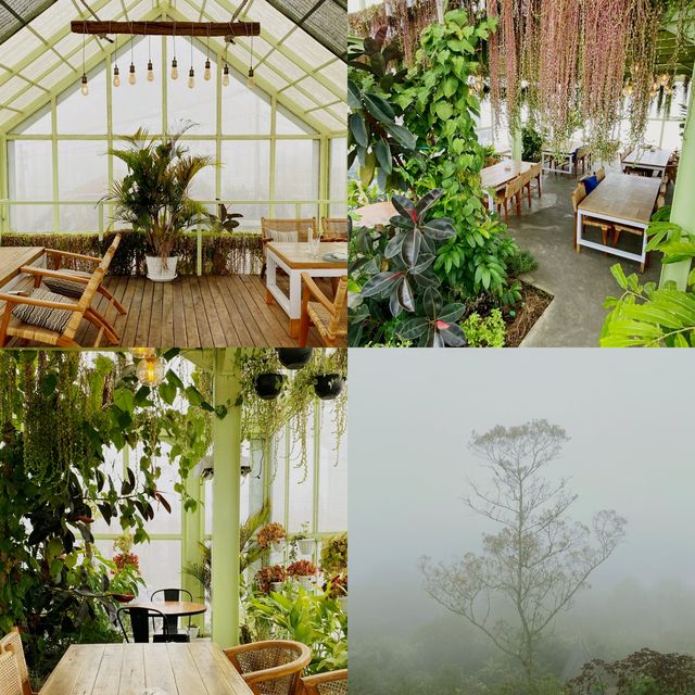 Kintamani Coffee - Eco Bike Coffee