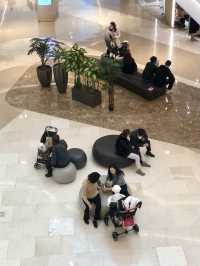 반려동물 동반 가능한 실내 데이트 코스 추천 ‘하남 스타필드’ 🐶🛍️