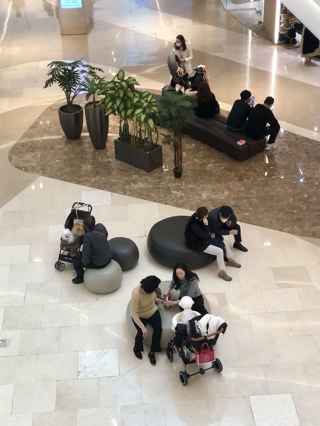 반려동물 동반 가능한 실내 데이트 코스 추천 ‘하남 스타필드’ 🐶🛍️