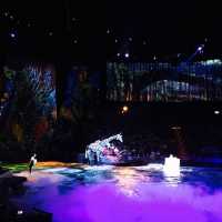 🇲🇴精彩無比💯👍🏻 The House of Dancing Water 新濠天地水舞間