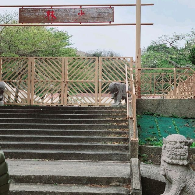 虎山 行