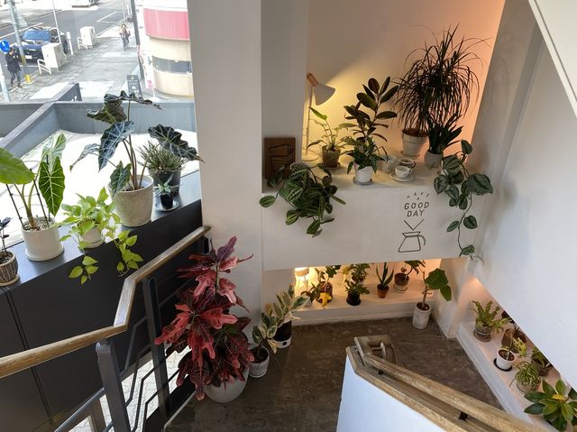 名古屋・錦。モーニングもランチもスイーツもゆっくりいただけます『THE CUPS FUSHIMI』