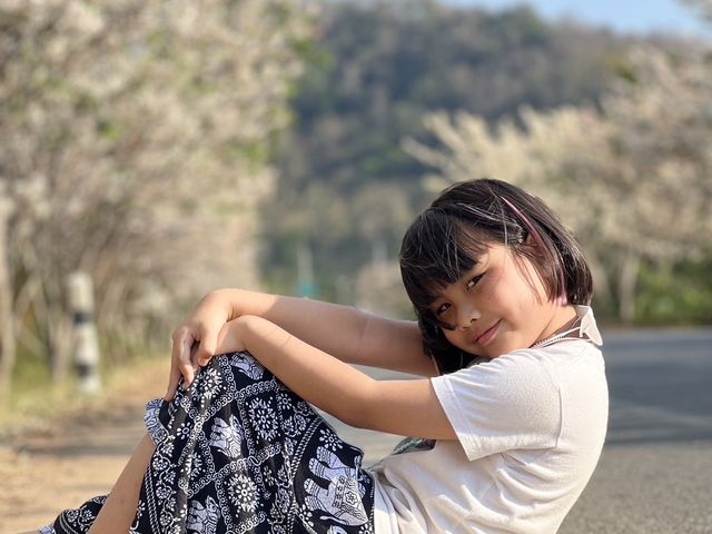 ซากุระเมืองจันท์ 🌸