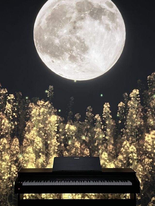 假日好去處  ︳沉浸式感官體驗